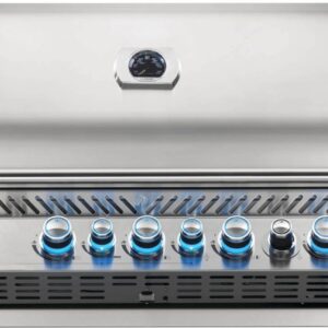 BUILT-IN PRESTIGE PRO™ 665 RB WITH INFRARED REAR BURNER